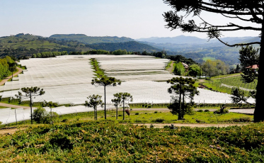 Toda Sexta: a segunda edição nas suas mãos!
