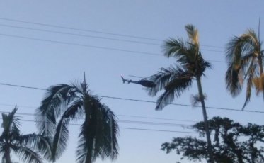 Saer e bombeiros combatem incêndio em mata