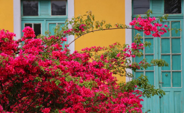 Semana da Primavera será marcada com atividades em Nova Veneza