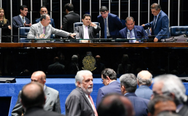 Anulação do decreto das armas espera decisão da Câmara