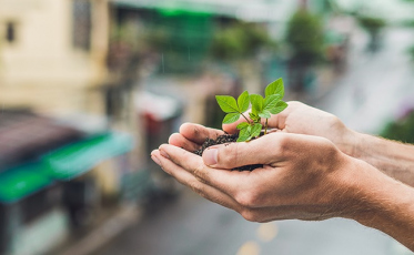 Unesc recebe Conferência de Segurança Alimentar e Nutricional