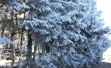 O fim de semana do sincelo em São Joaquim