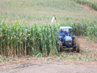 Agricultores têm apoio para o preparo da silagem em Nova Veneza
