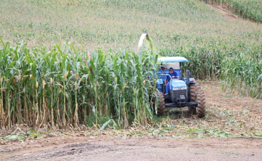 Agricultores têm apoio para o preparo da silagem em Nova Veneza
