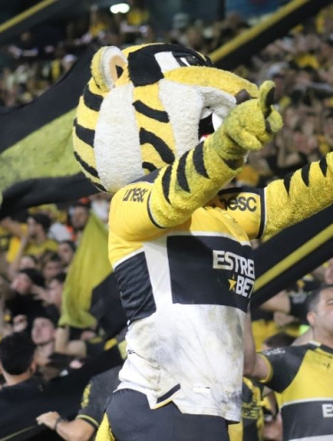 Noite de reencontros: Criciúma recebe o Botafogo-SP para reagir na Série B