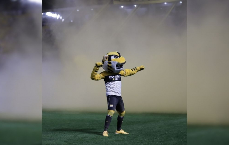 Criciúma SAF? O que o torcedor pode esperar do futuro após reunião com empresário bilionário