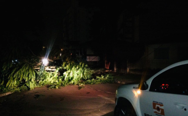 Família desalojada, árvores caídas, falta de luz e fogo em residência (VÍDEO)