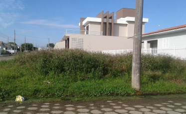 Mosquito da dengue preocupa no Rincão