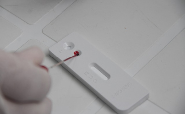 Nova Veneza disponibiliza testes para profissionais da educação