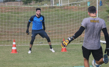 Tigre realiza atividade na academia e no gramado do CT