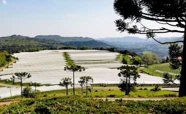 É turismo de primeira!