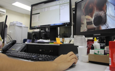 A acessibilidade digital na pauta da Assistência Social