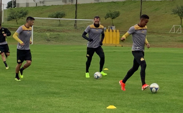 Tigre retoma atividades na segunda-feira com novidades