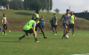 Tigre com problemas a caminho do Rio Grande do Sul