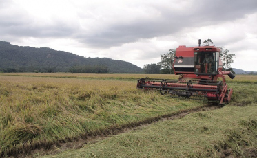 Lideranças rurais querem igualdade com os estados vizinhos