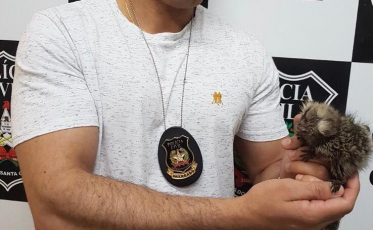 Homem é preso ao tentar vender animais silvestres