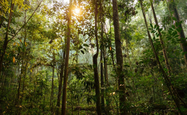 Semana Acadêmica da Unesc debate temáticas ambientais