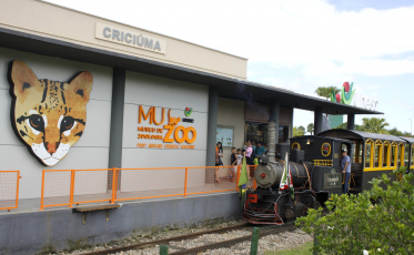 Museu de Zoologia da Unesc recebe mais de 2 mil visitantes em apenas três semanas