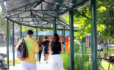 No Dia da Universidade, entenda a diferença entre elas e as faculdades