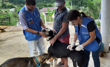 A segunda etapa da vacinação contra a raiva