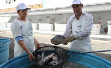 Em Criciúma, Procon pesquisa preços de pescados