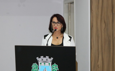 Vereadora cobra serviços de manutenção em ruas