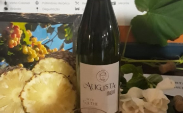 Lançada a Vindima Goethe 2019