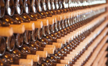 Vinhos catarinenses ganham competitividade