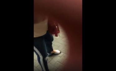 A violência contra animais e protetores (VÍDEO)