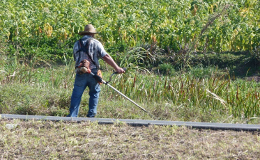 Finalmente a limpeza chegou à Via Rápida