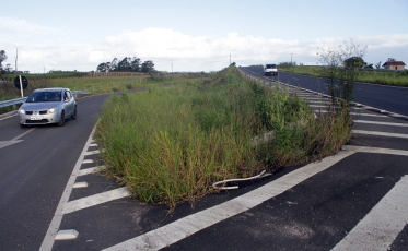 A limpeza da Via Rápida por engano