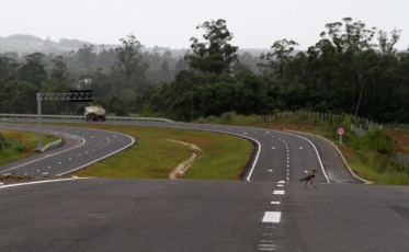 Em enquete, pedidos de melhorias na Via Rápida