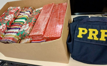 Fuga na BR-101 acaba com prisão e 20 quilos de maconha apreendidos