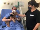 Paciente do HSJosé recebe visita de cachorrinha de estimação