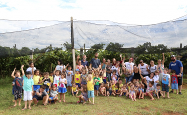 Crianças conhecem processo de colheita da uva