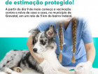 954 animais vacinados contra a raiva na região de Gravatal