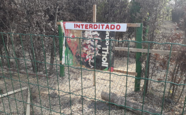 Labirinto verde segue fechado no Parque dos Imigrantes