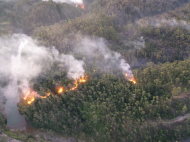 (foto: divulgação/Corpo de Bombeiros)