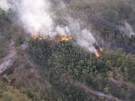 (foto: divulgação/Corpo de Bombeiros)