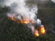 (foto: divulgação/Corpo de Bombeiros)