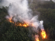 (foto: divulgação/Corpo de Bombeiros)