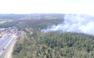Incêndios castigam área rural de Urussanga (VÍDEO)
