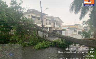 Vendaval causou estragos, mas situação é normalizada no Sul catarinense