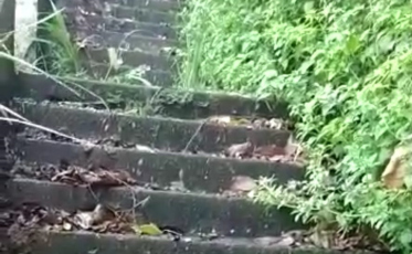 Moradores reclamam de escadaria da Rua Santo Antônio (VÍDEO)