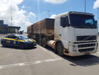 PRF flagra bitrem com irregularidades na BR 101, em Araranguá