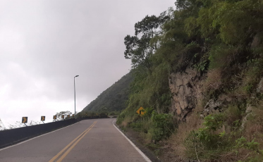 Matagal no acostamento da Serra do Rio do Rastro