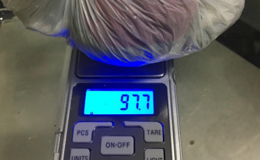 Cadela da PM encontra crack e maconha em terreno baldio