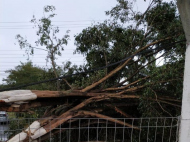 Foto: Divulgação / Defesa Civil