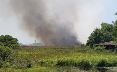 Mais um incêndio atinge a vegetação no Arroio do Silva (FOTOS)