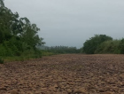 Rio que abastece Turvo seca e deixa população em alerta